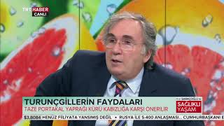 BAĞIRSAKLARDAKİ POLİPLERİ NANE + PAPATYA KÜRÜYLE YOK EDİN ~ Şifaya vesile Saraçoğlu
