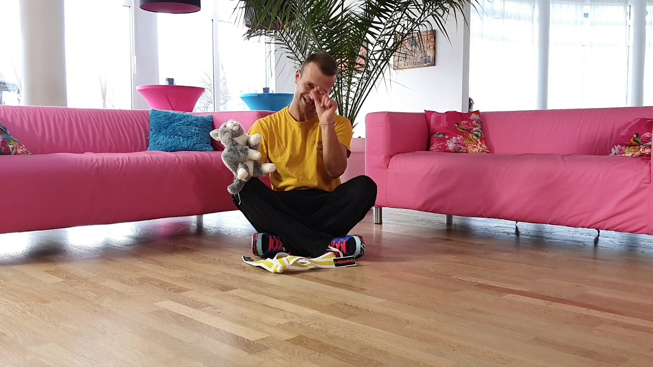 Kampfkatzen Pause XXL