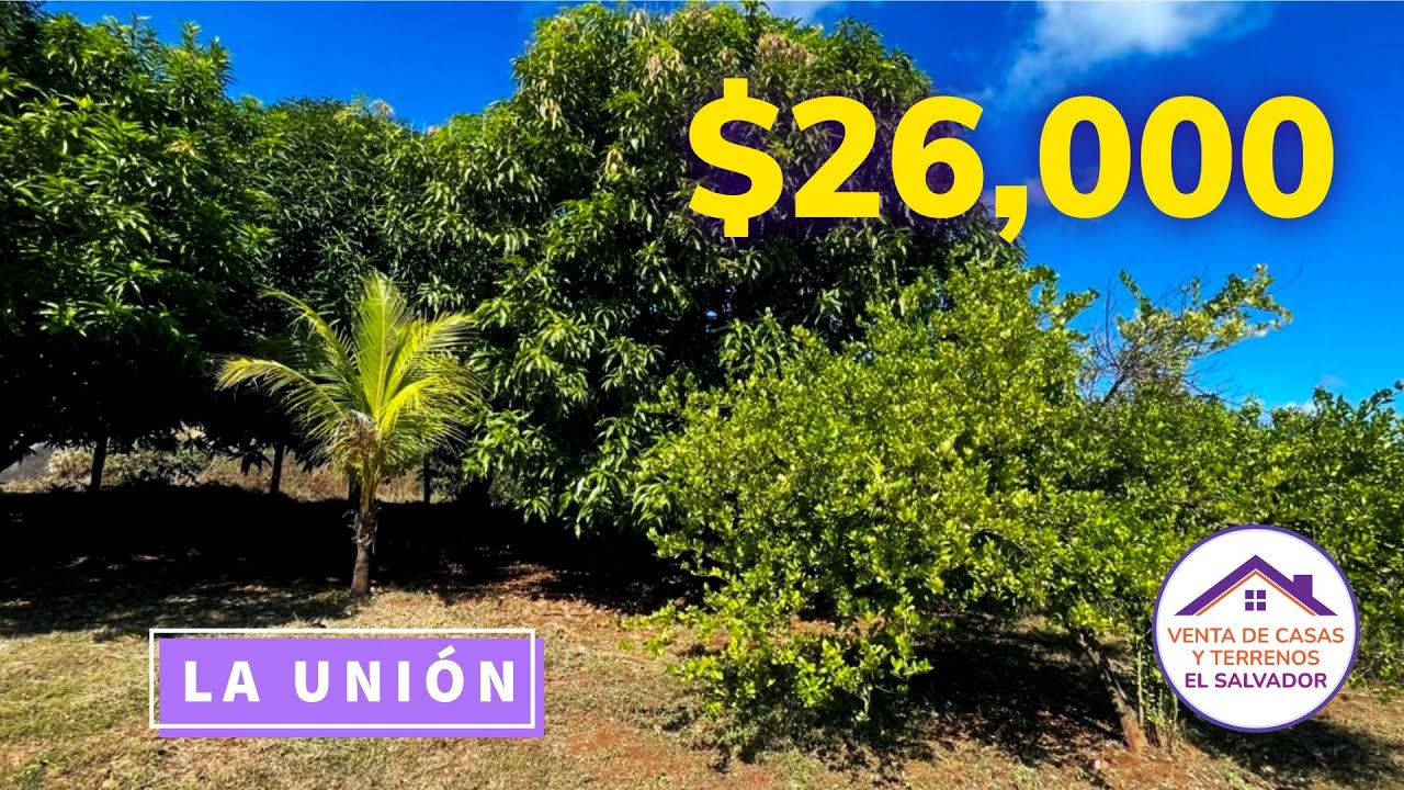 6 Lotes con Salida a Dos Calles en Lotificación Los Laureles, La Unión (Zona Estratégica) | $26,000