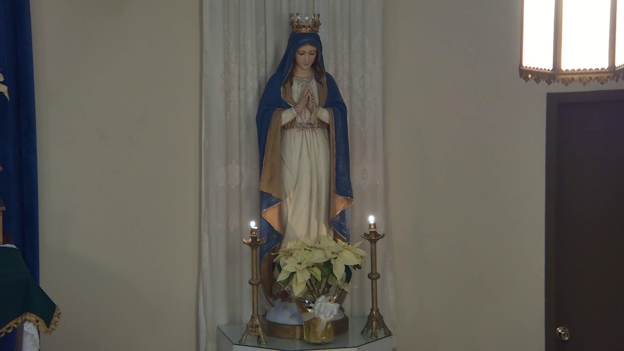 Rosary, February 9, 2025