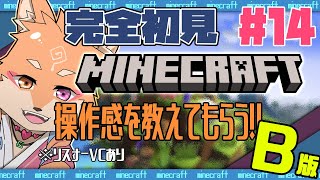 【参加型（限定メンバー）・マインクラフト・リスナーVCあり】ネザー探索をどんどん進めて行こうかな～＃14