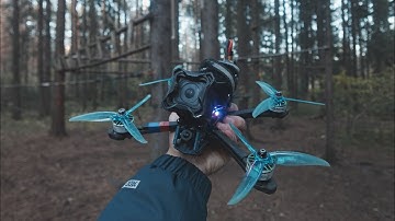 MY DRONE IS STUCK IN A TREE / FPV FREESTYLE