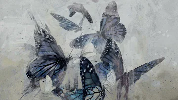 White Moth, Black Butterfly ╬ The Dreamer ╬ Lyrics - Sub Español