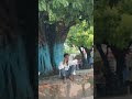 #shortvideo #bhojpuridance #song #bhojpurisong #music