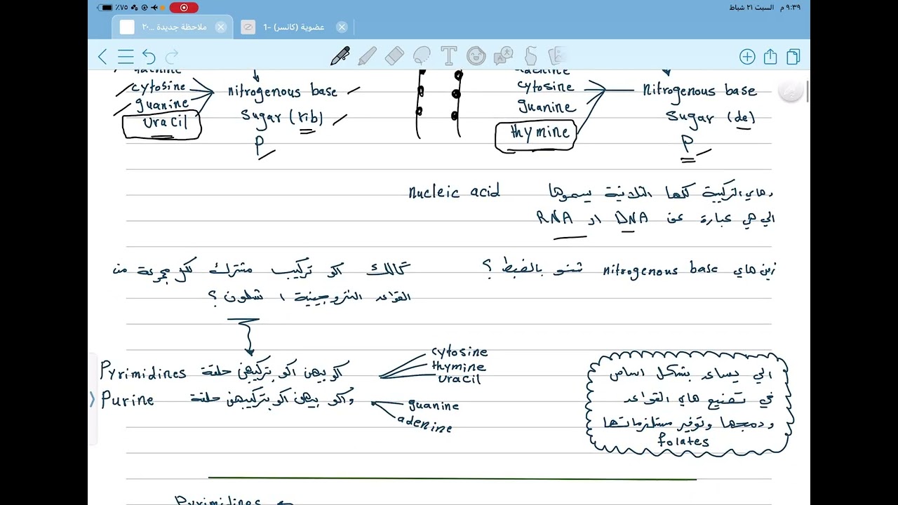 عضوية مرحلة رابعة / antimetabolites