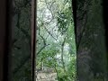 Another Rainy Day S Dairy🥀 Nature Sajibvadra Travel Stuntbike Lovingnature Sv Trending Rain Another Rainy Day S Dairy🥀 Nature Sajibvadra Travel Stuntbike Lovingnature Sv Trending Rain