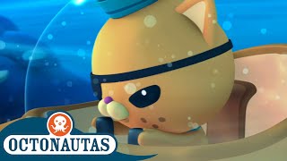 Octonautas - Kwazii Modo Turbo Primeira Temporada Episódios Inteiros