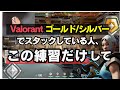 【元レディアントが解説】ゴールドシルバー（プラチナ）でスタックする人が集中すべき２つのことはこれだけです。