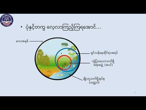 "Grade 6 သိပ္ပံ၊ အခန်း (၈)၊ ဂေဟစနစ် အပိုင်း(၁)၊ ဂေဟစနစ် ၊ စာမျက်နှာ(၇၉)(G6SC-Episode 33)"