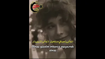 Buray Mecbursun بوراي انت مجبور مترجمة للعربية 