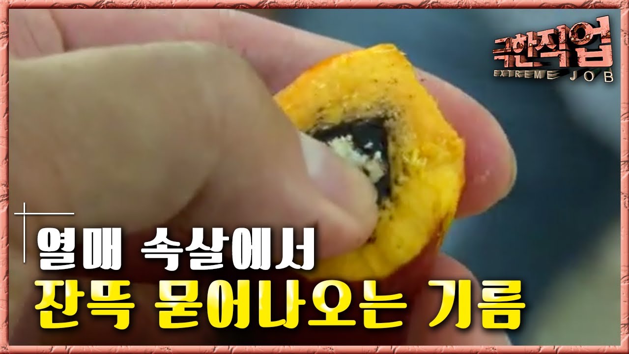 극한직업 - Extreme JOB_말레이시아 팜나무 농장 1부_#002