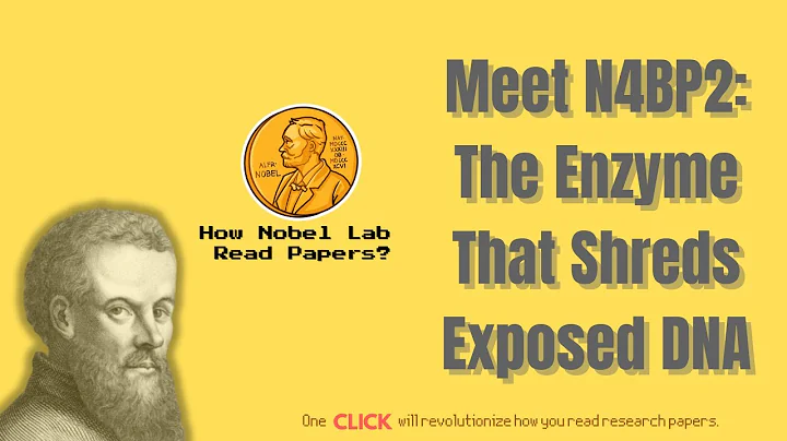 Meet N4BP2: The Enzyme That Shreds Exposed DNA [Science, 2025]