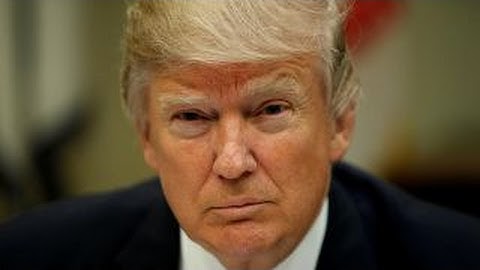 Analyzing President Trump's first 50 days