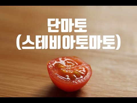 단마토, 스테비아 토마토 먹은 후기, 직접 사먹고 쓴 후기 : ceramicdo 세라믹도