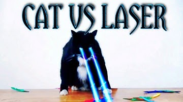 Cats vs Laser Pointers Compilation | New funny Videos 2020 | REACTING to CUTE CAT VIDEOS | cute cat