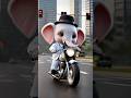Baby Elephant Riding Royal Enfield Bullet In Style Shorts Animation 