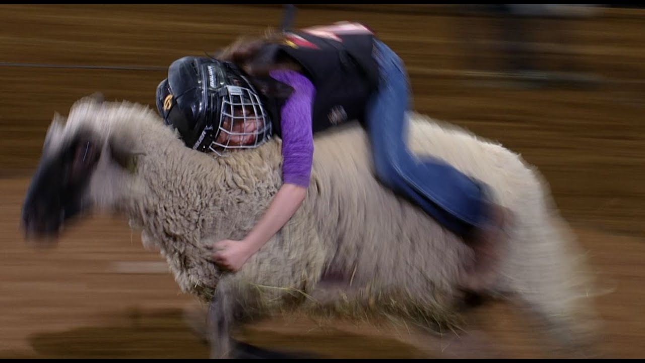 Mutton Bustin' highlights | San Antonio Rodeo | Feb. 23, 2022 - YouTube