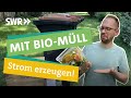 Biomüll für Kompost und Ökostrom - Welcher Müll darf in die Biotonne? I Ökochecker SWR