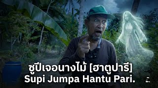 ซูปี เจอนางไม้ (ฮาตูปารี) Supi Jumpa Hantu Pari