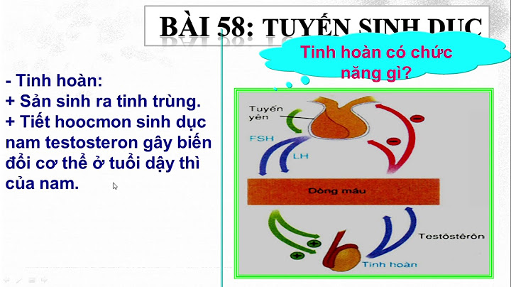 Đánh giá sinh học 8 bài 58