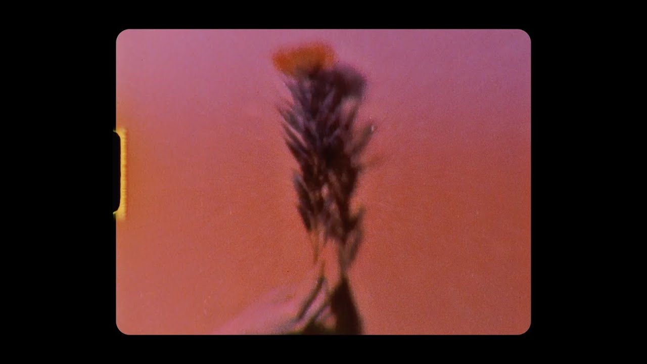 ✿ VELVET FLOWERS & MELTING VIEWS ✿