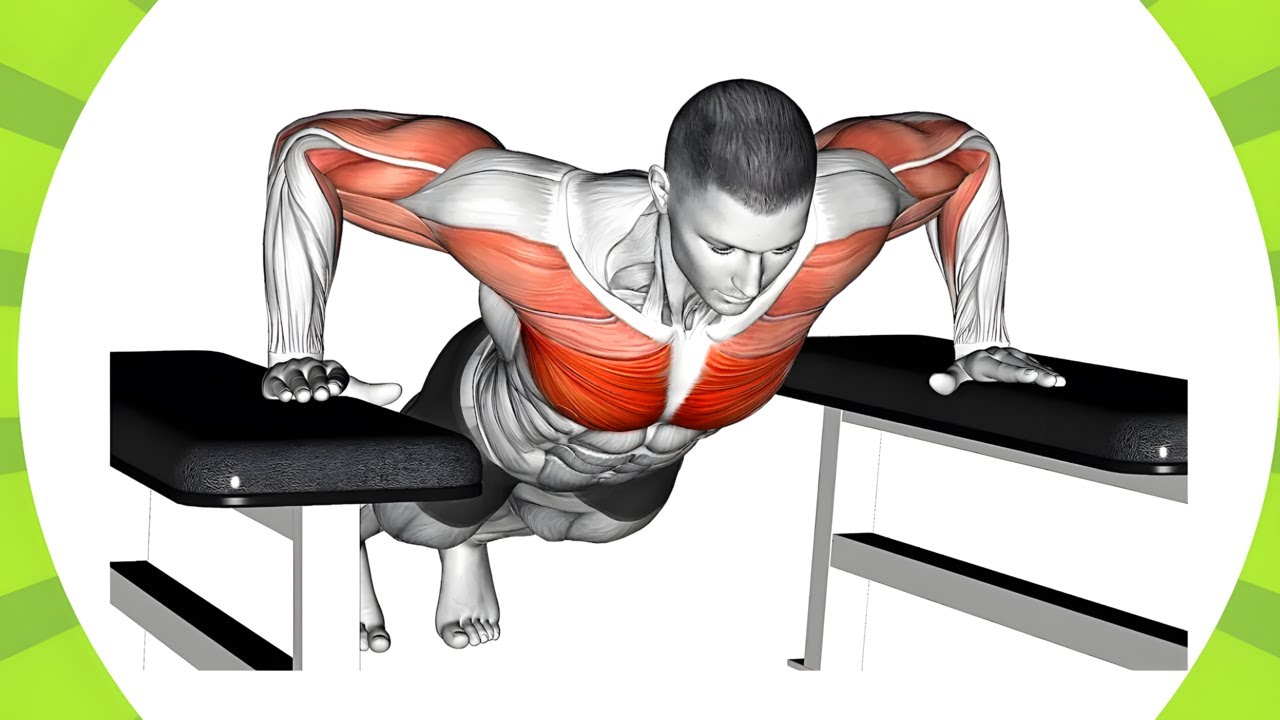 Fun workout to Build Bigger Chest and Arms (Push-Ups Only) - YouTube
