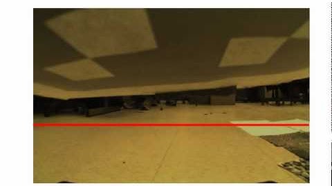 EECS 498 Project 4 Robot View