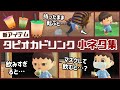 【あつ森】夏アプデ新アイテム「タピオカドリンク」に隠れた細かすぎる小ネタ集！in 花火大会【あつまれ どうぶつの森】@レウンGameTV