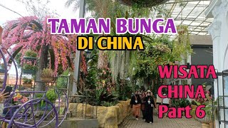 China Tourism Part 6 || FLOWER GARDENS IN GUANDONG CHINA #chinatourism #shenzhenchina #flowergardens