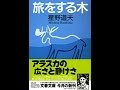 蒼井優オススメ本『旅をする木 [ 星野道夫 ]』レビュー