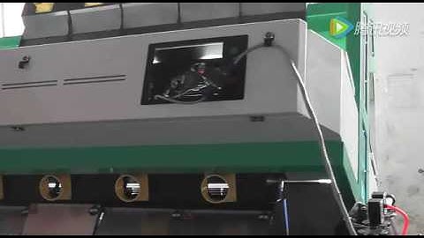 raisin color sorter / raisin sorting machine - (www.ColorSorterGroup.com)