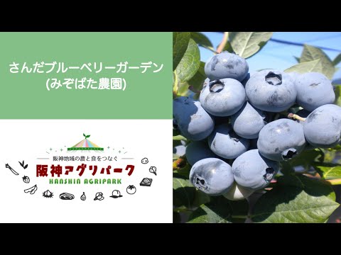 さんだブルーベリーガーデンの紹介動画サムネイル