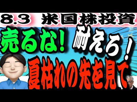 【売るな】この夏枯れ相場を利用しろ‼️8.3米国株投資