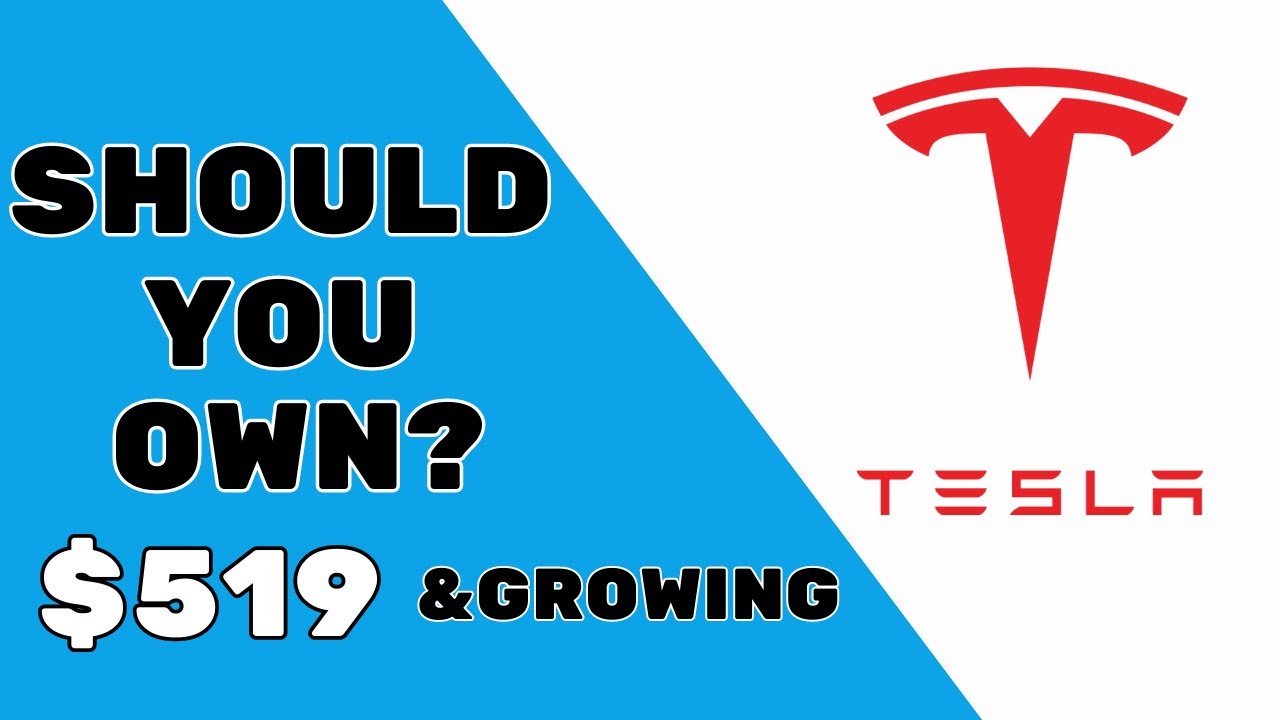 Should You Own Tesla Stock? Stock Review 001 - YouTube