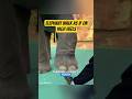 Elephant Walk as if on High Heels #animals #elephant #nature #biology #wildlife #shorts