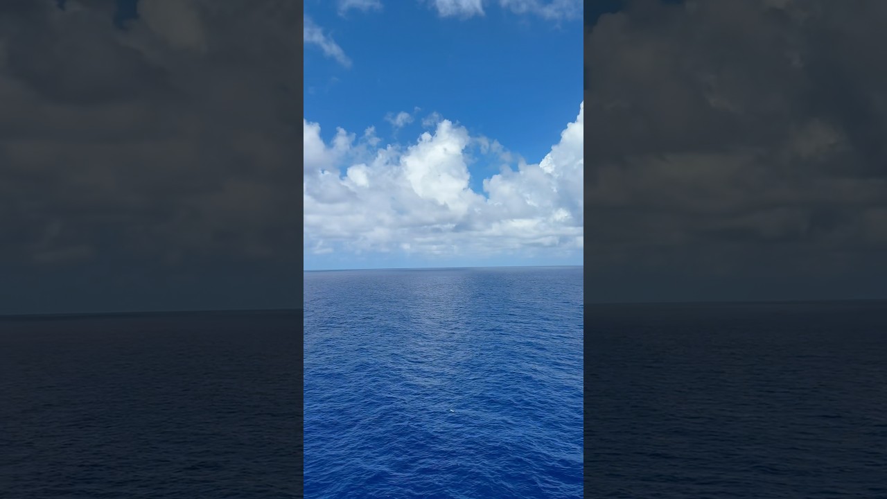 A day at sea🌊 | Carnival Celebration #carnivalcruise #carnival #cruise #cruiseship #ocean #shorts