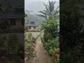 Indahnya saat turun hujan #kampungvirall #rain