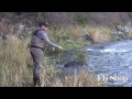 Trout Spey | Late Fall Tactics