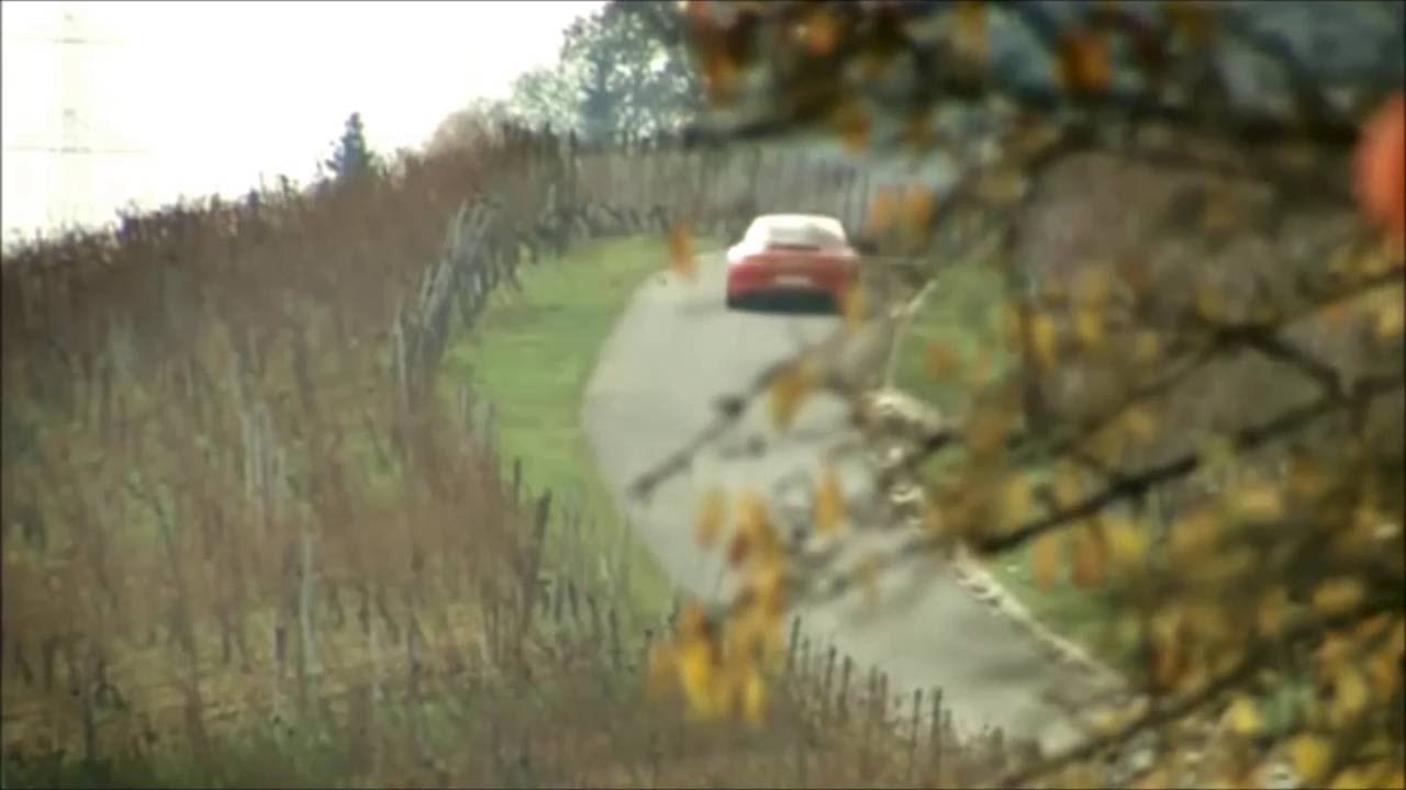 Zeilhofer handling: Porsche 911 Türen / Porsche 911 doors