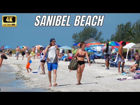Sanibel Beach 2022 - Sanibel Florida