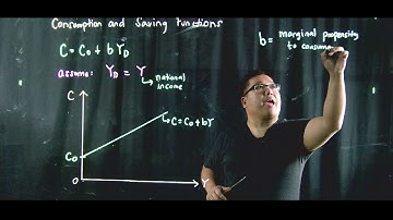 Consumption and Saving Functions