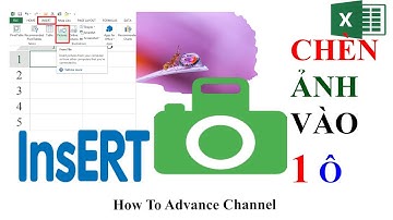 Hướng Dẫn Cách Chèn Ảnh Cố Định Vào 1 Ô Trong Excel - Insert Picture in an Excel Cell