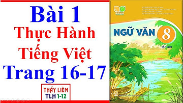Ngữ Văn 8 Bài 1 | Thực Hành Tiếng Việt | Trang 16 - 17 | Kết Nối Tri Thức