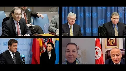 The United Nations Security Council Counter-Terrorism Committee and its Executive Directorate