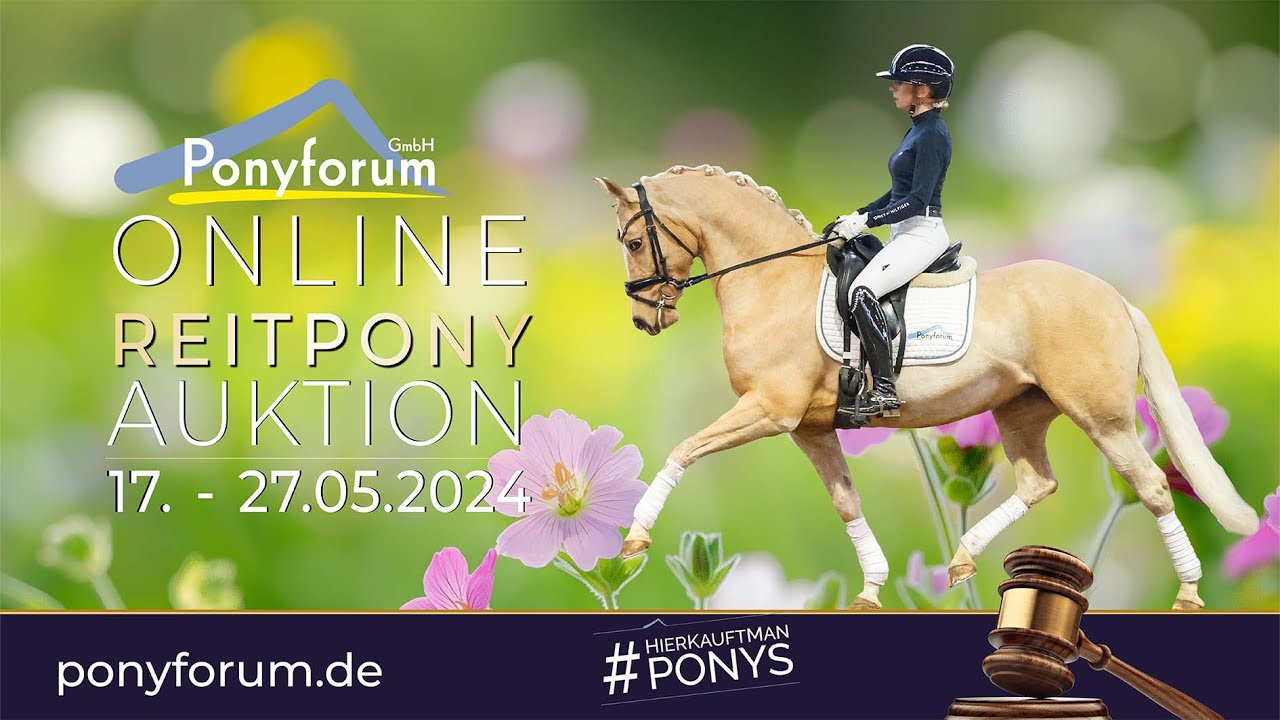 Sammy Wallach 2020 v. Taquero des Fonds / Don Miguel