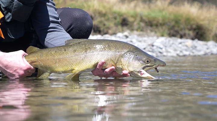 Fly fishing New Zealand South Island Rivers