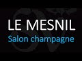 Comment prononcer le mesnil salon champagne  prononciation du vin franais