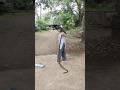 Big Size Indian Rat Snake Rescue