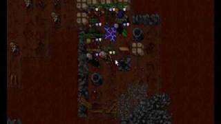 Tibia Nova Pk