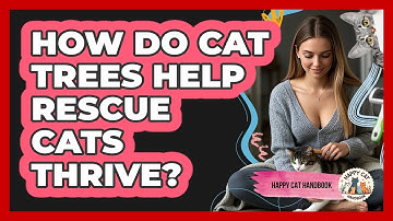 How Do Cat Trees Help Rescue Cats Thrive? - Happy Cat Handbook
